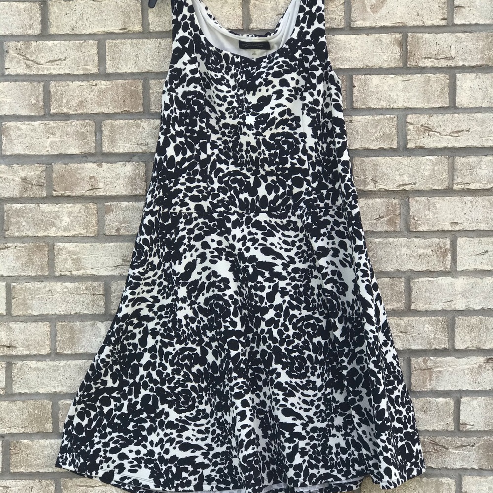 Evan Picone Spotted Dress